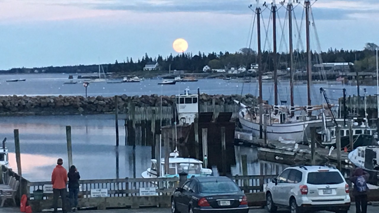 Photo of Others in Southwest Harbor