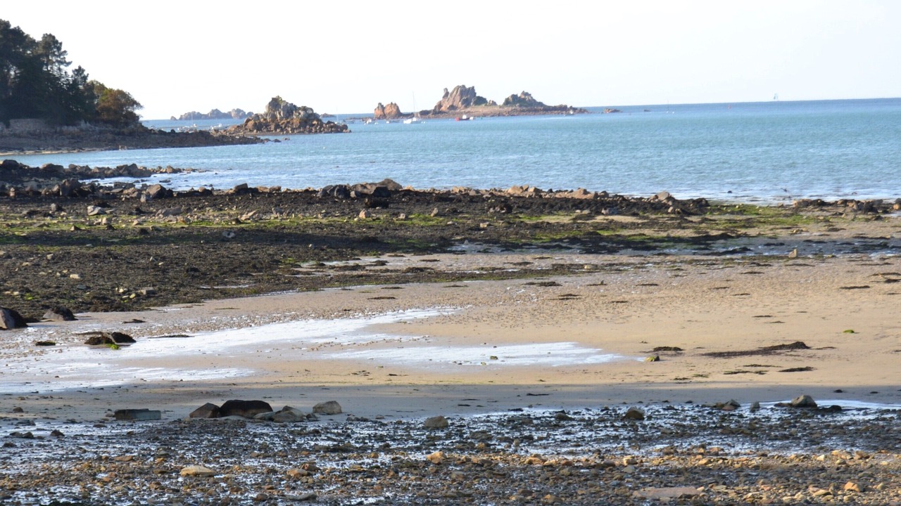 Photo of Others in Penvenan