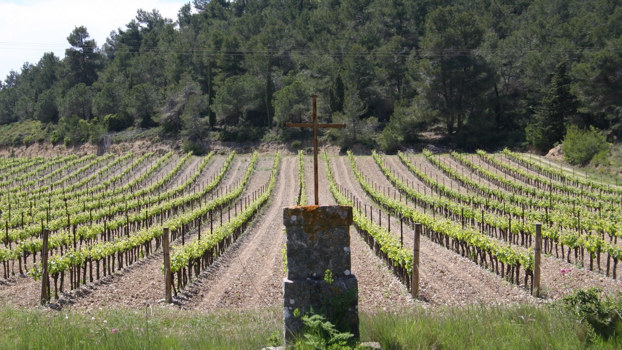 Photo of Outdoor in Saint-Pierre-la-Mer