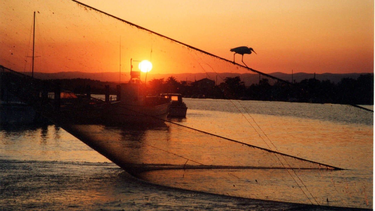 Photo of Outdoor in Saint-Pierre-la-Mer