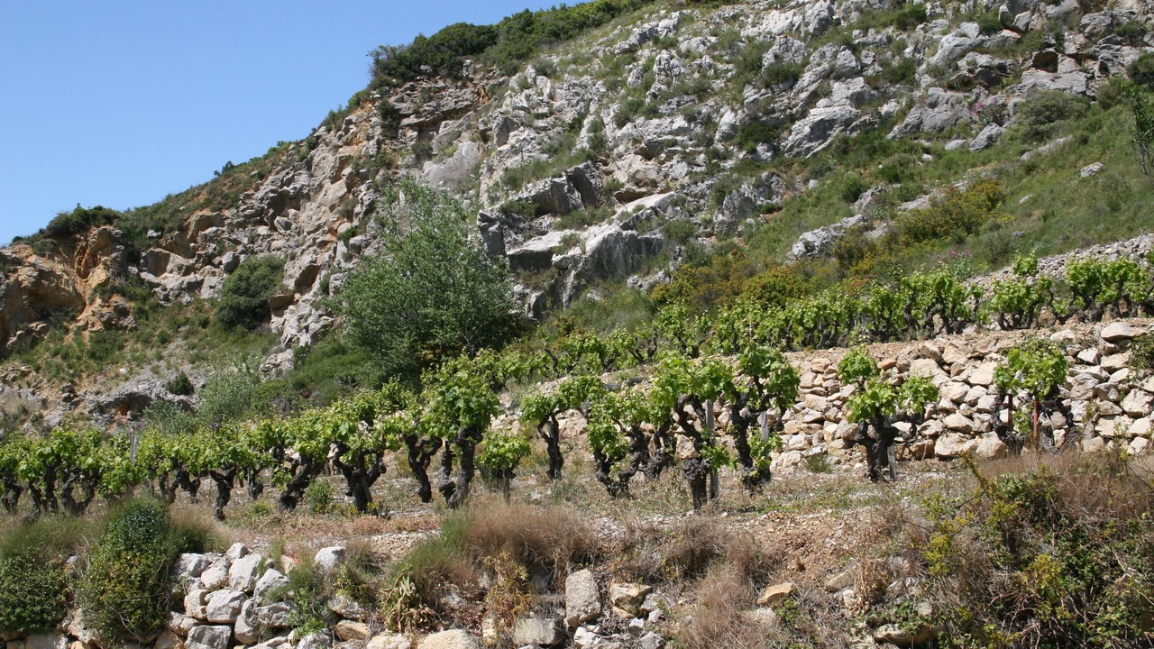 Photo of Outdoor in Saint-Pierre-la-Mer