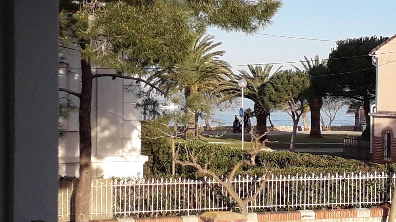 Photo of Outdoor in Plage d'Argeles