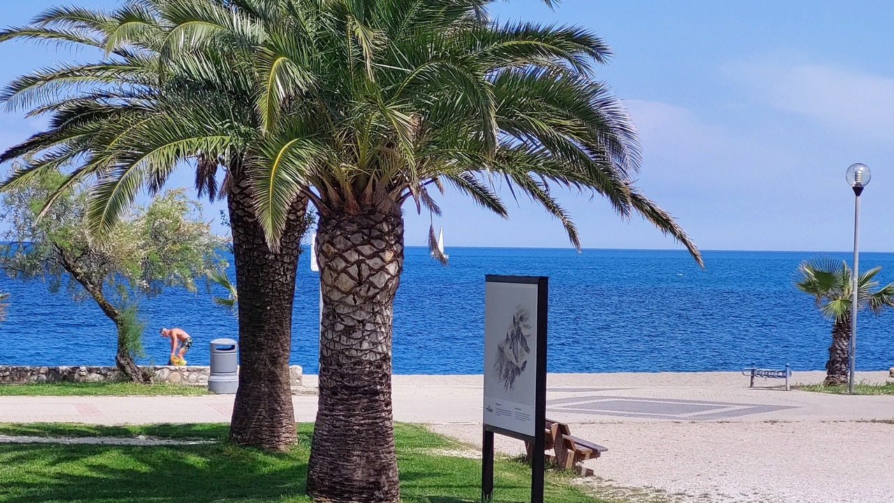 Photo of Others in Plage d'Argeles