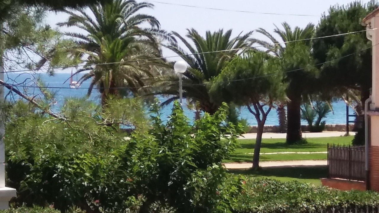 Photo of Outdoor in Plage d'Argeles