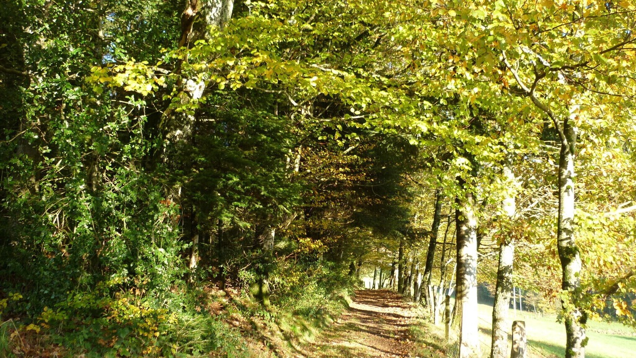 Photo of Outdoor in Le Val-d'Ajol