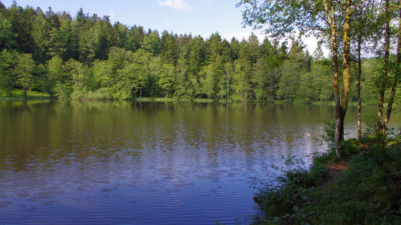 Photo of Outdoor in Le Val-d'Ajol
