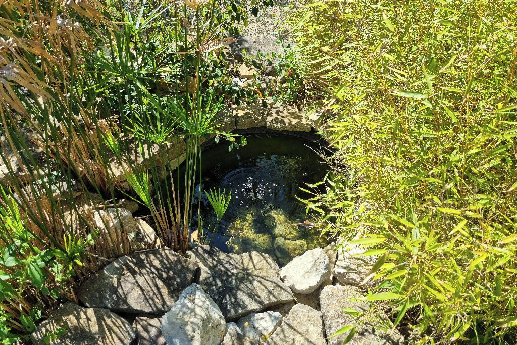 Photo of Outdoor in Donazac