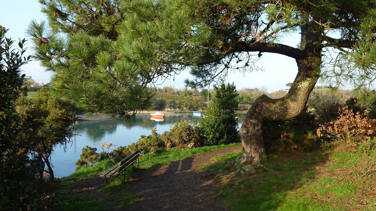 Photo of Outdoor in Etel