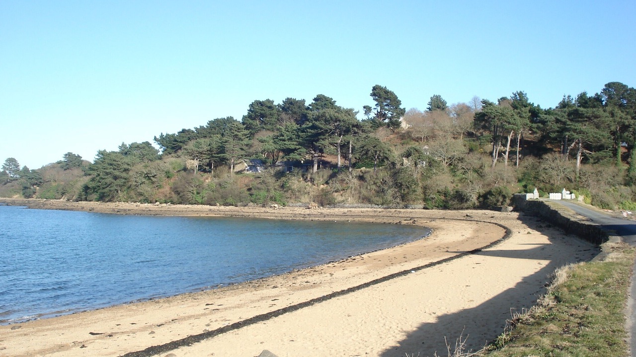 Photo of Others in Lezardrieux