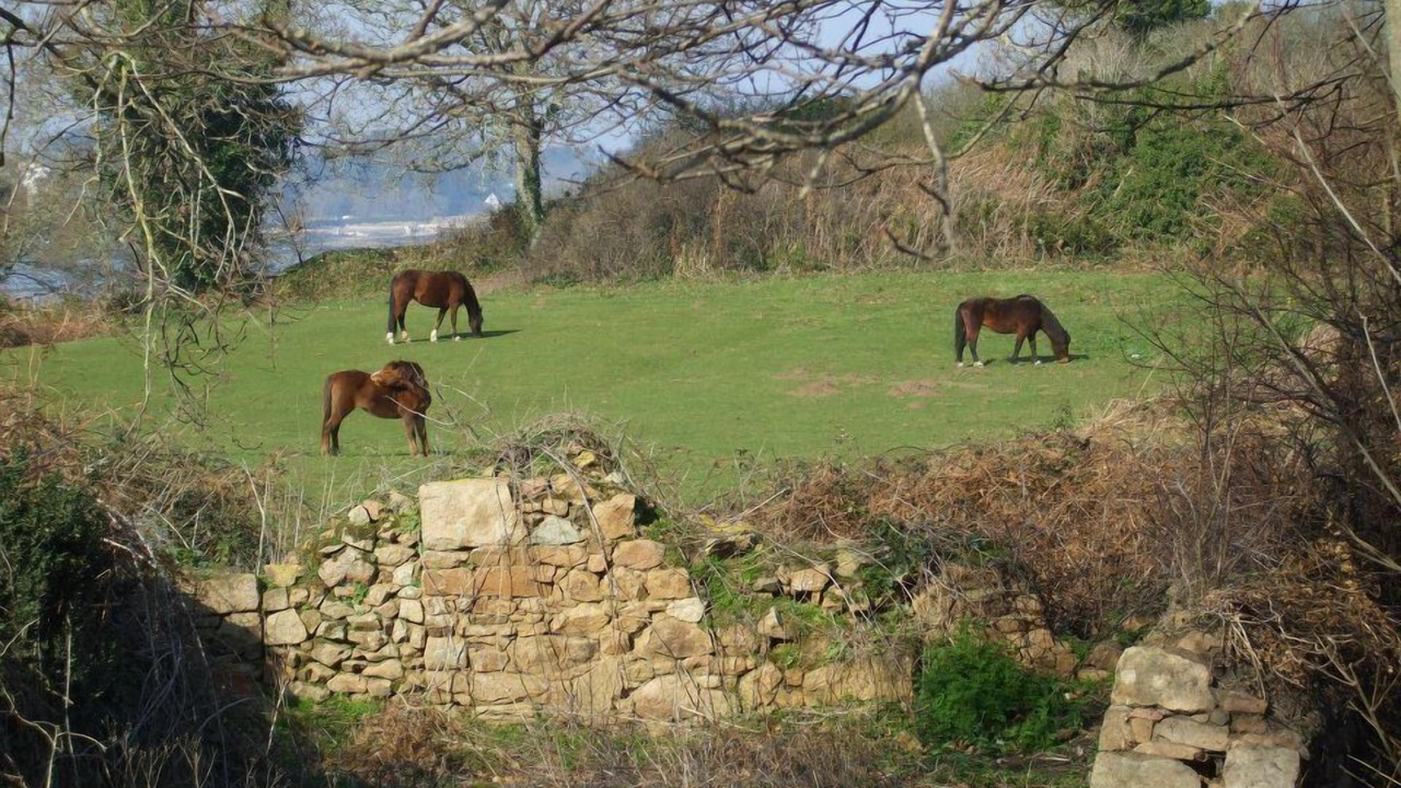 Photo of Outdoor in Lezardrieux