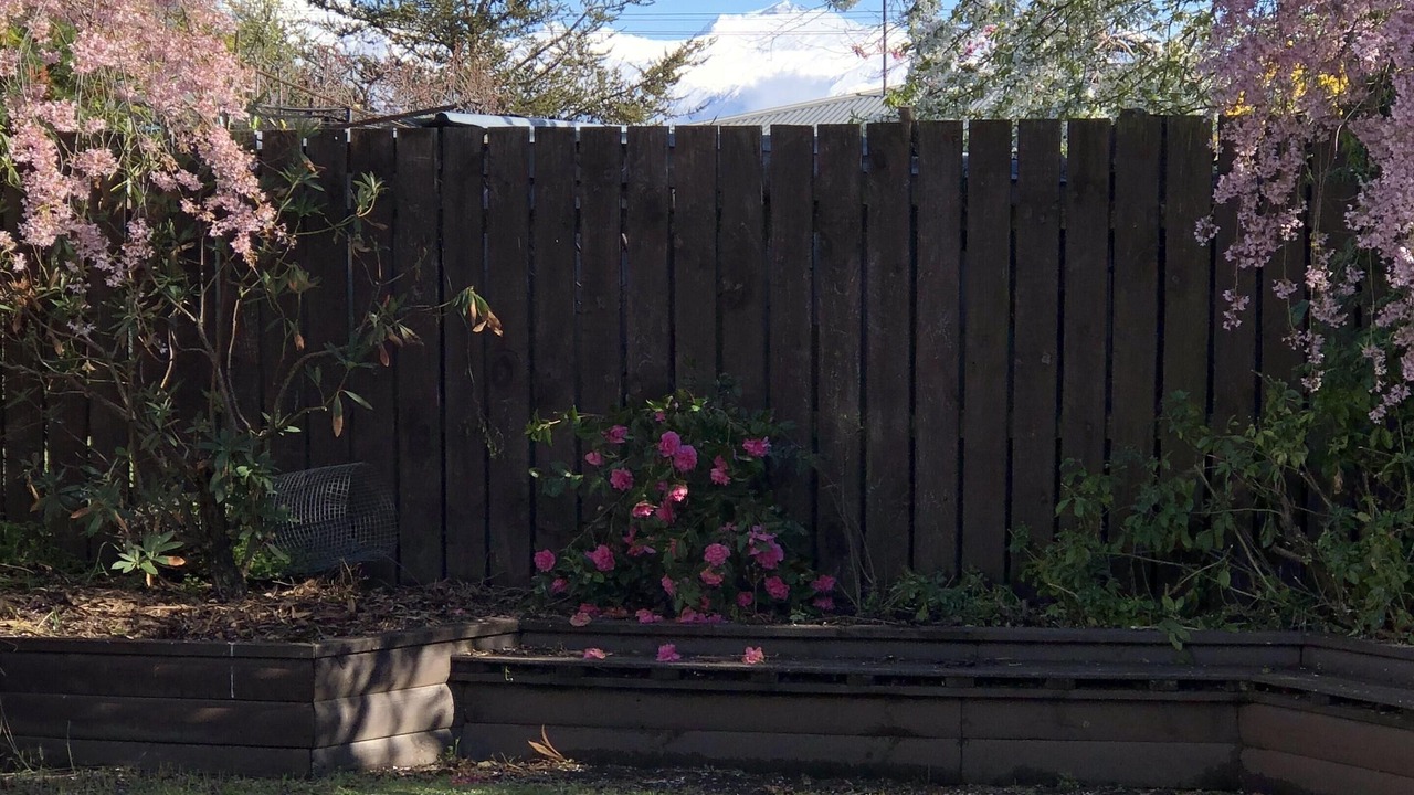 Photo of Outdoor in Wanaka