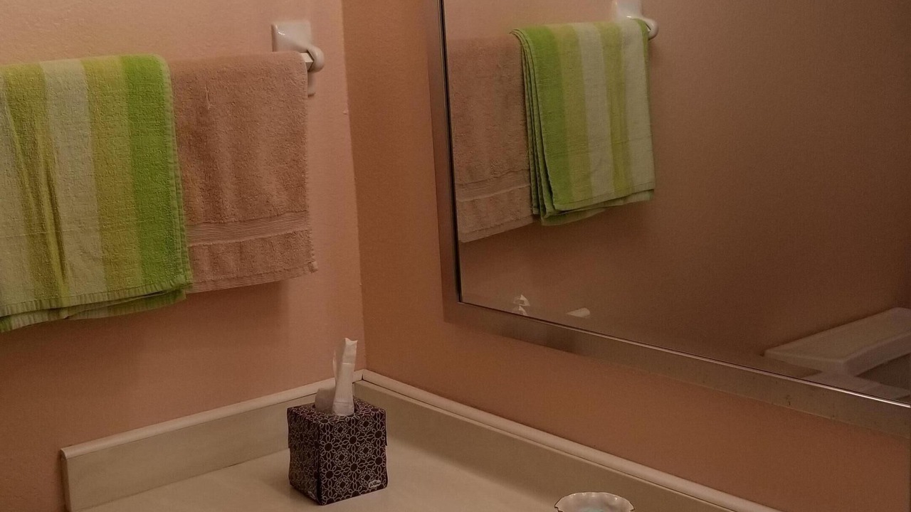 Photo of Bathroom in Braden River