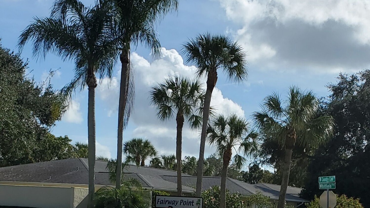 Photo of Outdoor in Braden River