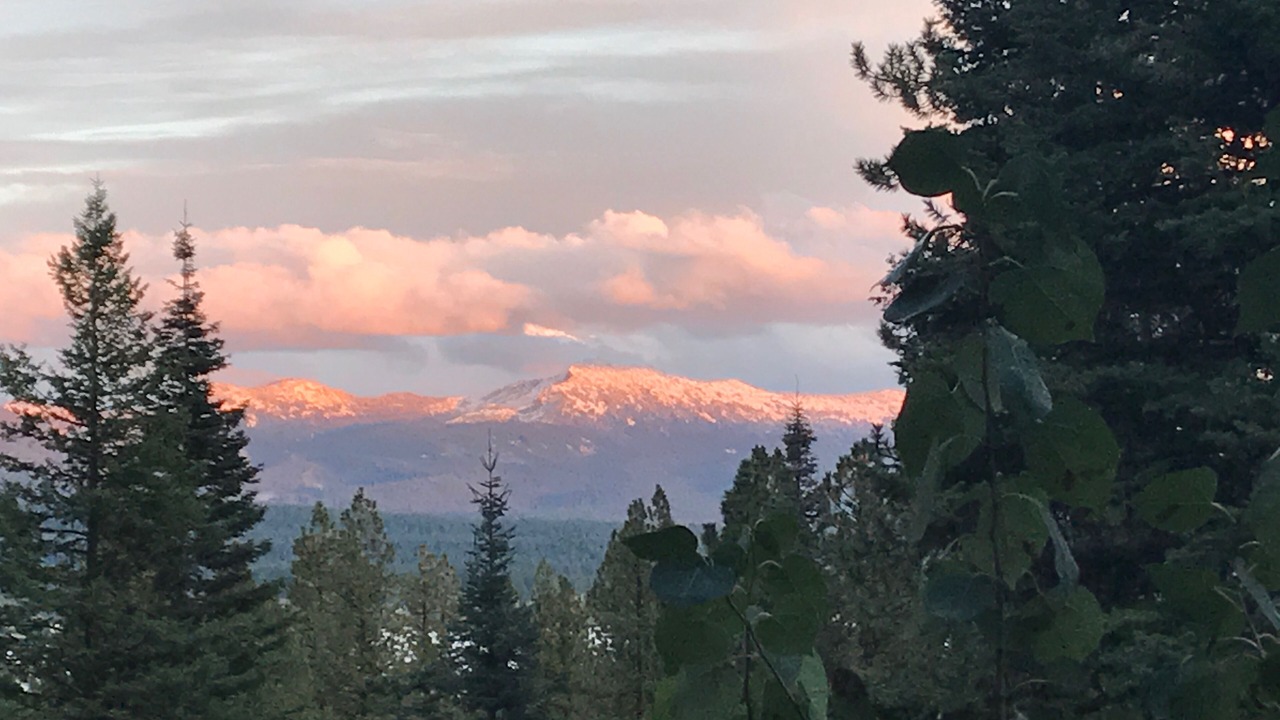 Photo of Others in McCall