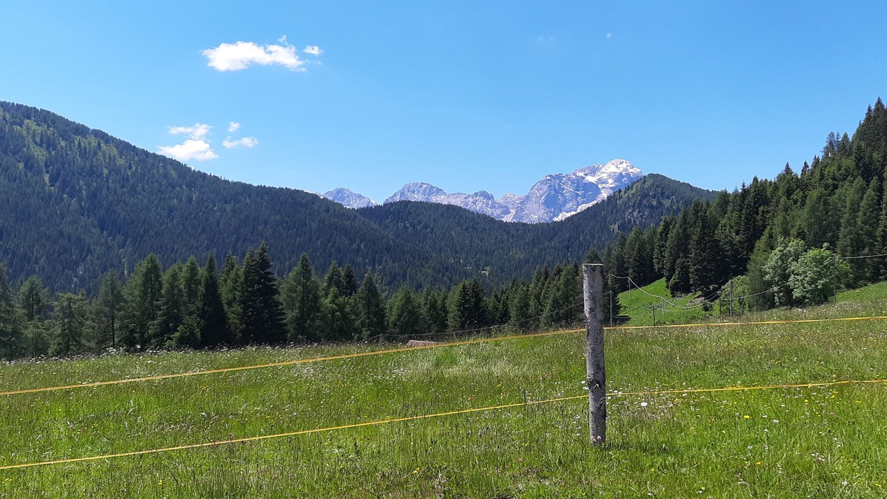 Photo of Others in Zoppe di Cadore