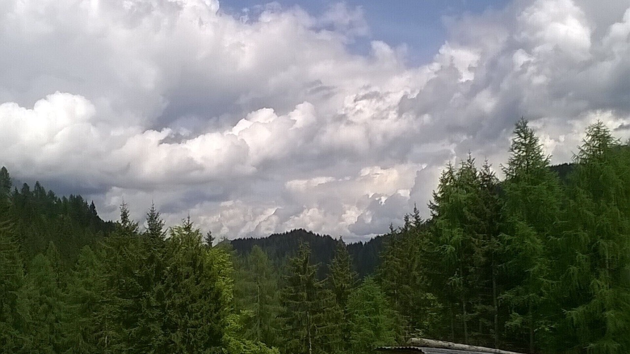 Photo of Others in Zoppe di Cadore