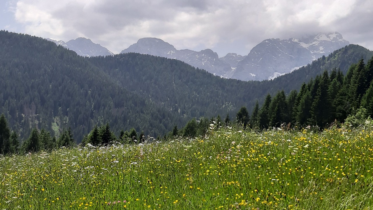 Photo of Outdoor in Zoppe di Cadore