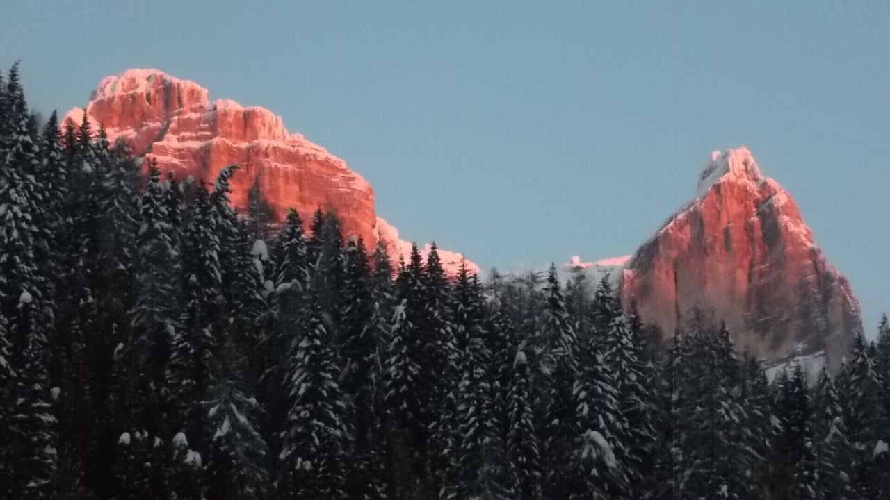 Photo of Outdoor in Zoppe di Cadore