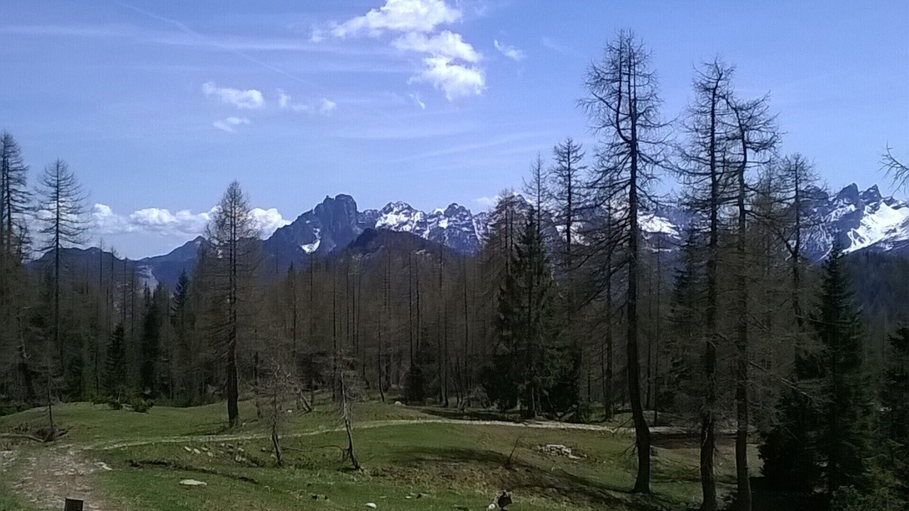 Photo of Outdoor in Zoppe di Cadore