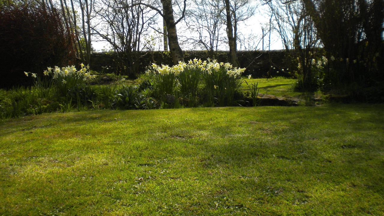 Photo of Outdoor in Tarset