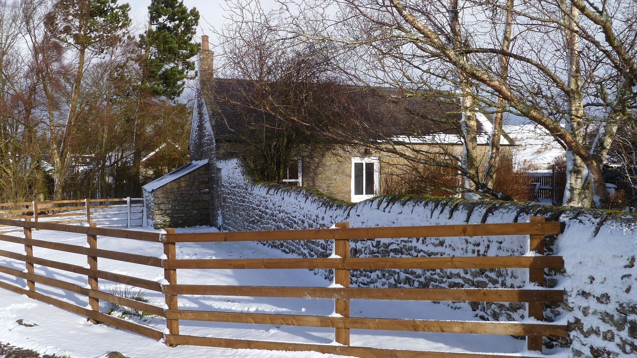 Photo of Outdoor in Tarset