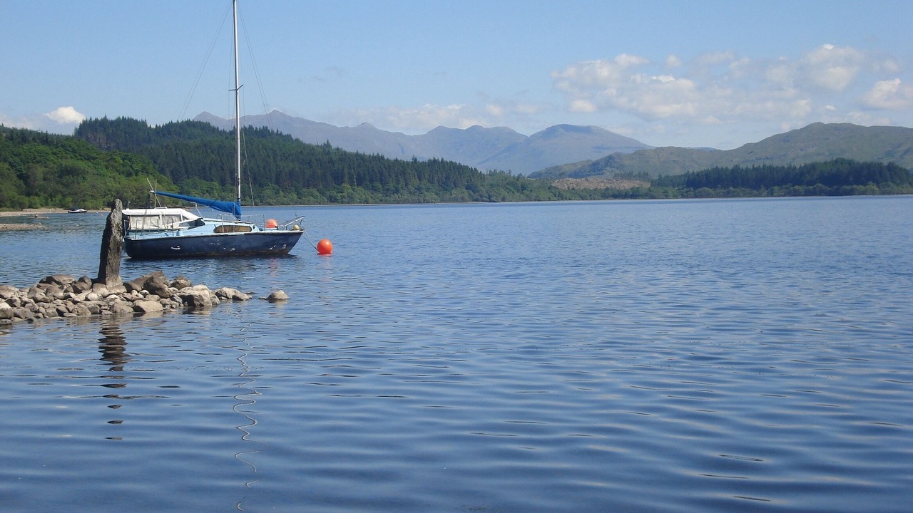 Photo of Others in Dallavich