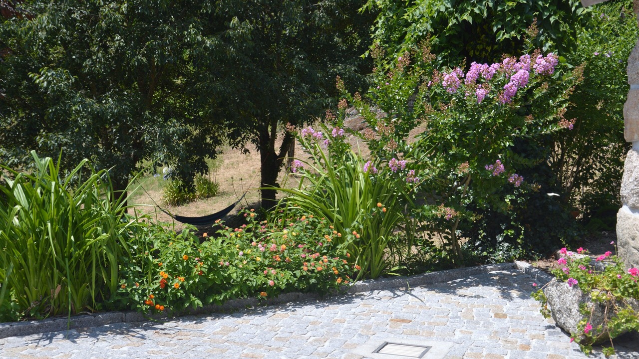 Photo of Outdoor in Marco de Canaveses