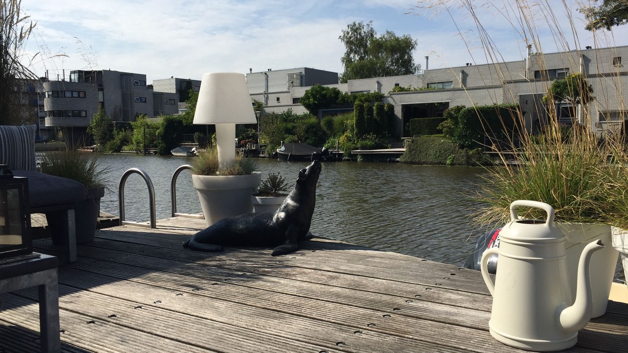 Photo of Outdoor in Groningen