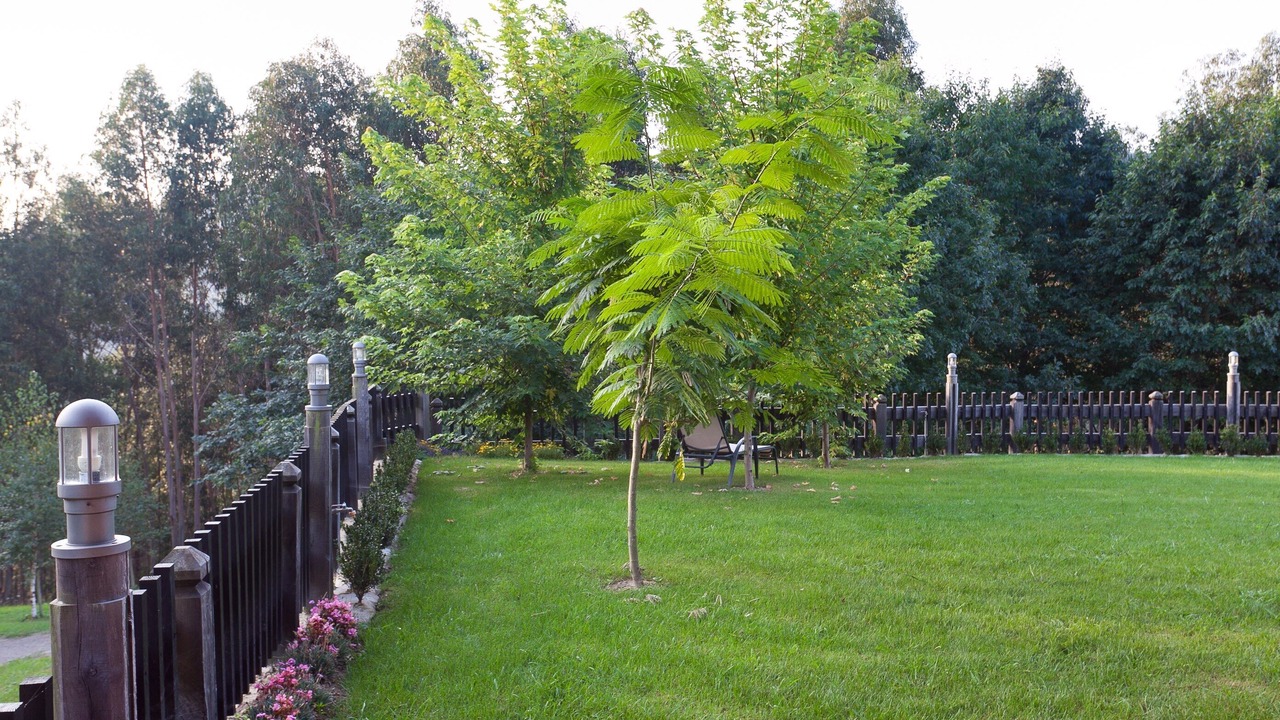 Photo of Outdoor in Ea