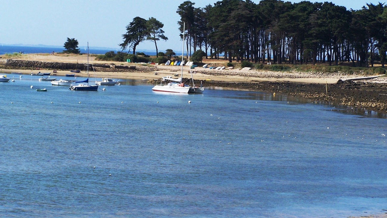 Photo of Others in Saint-Philibert