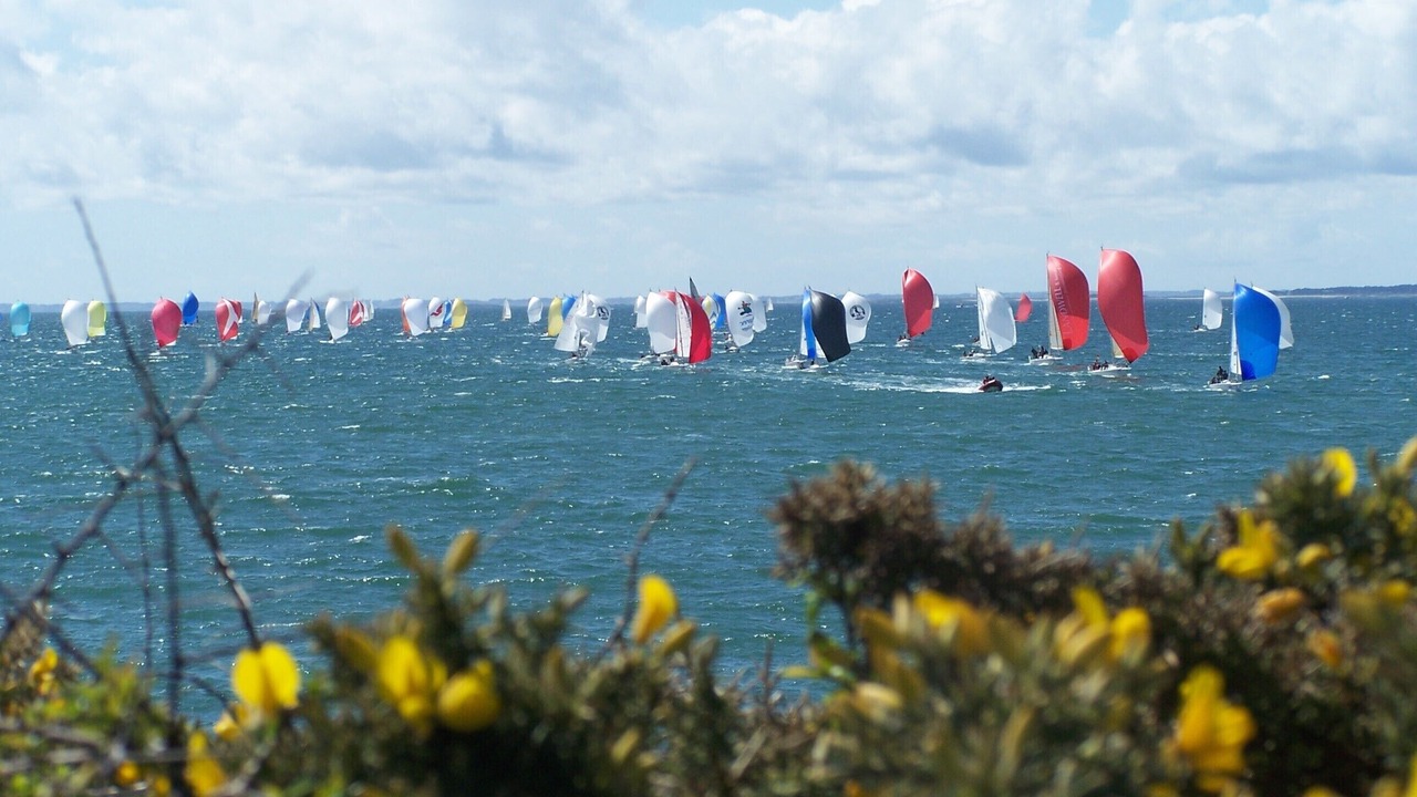 Photo of Others in Saint-Philibert