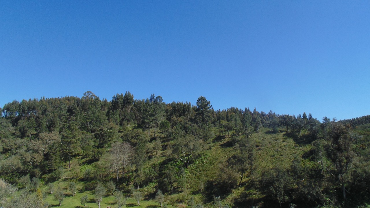Photo of Outdoor in Reliquias