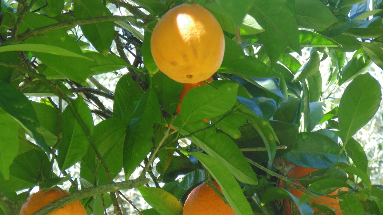 Photo of Outdoor in Reliquias