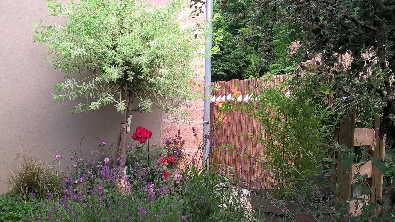 Photo of Outdoor in Colmar Centre Ville