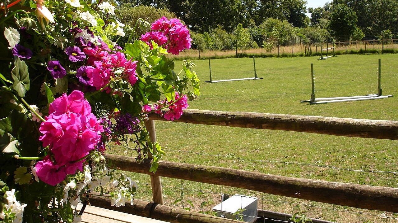 Photo of Others in New Forest District