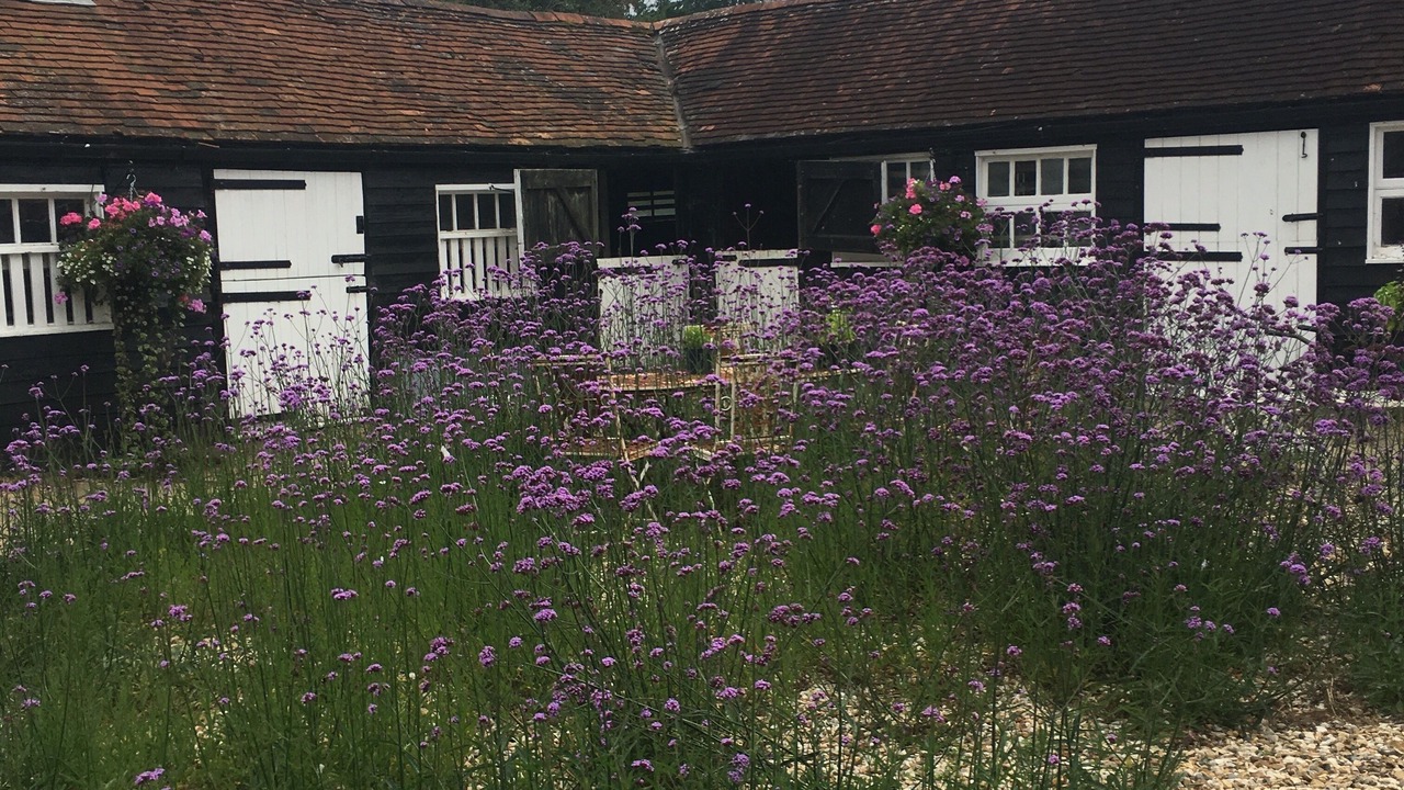 Photo of Outdoor in New Forest District