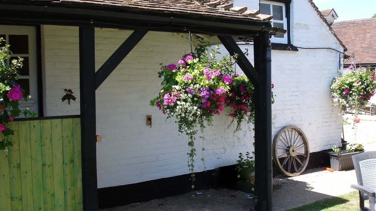 Photo of Others in New Forest District