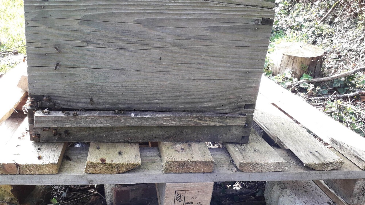 Photo of Outdoor in Honiton