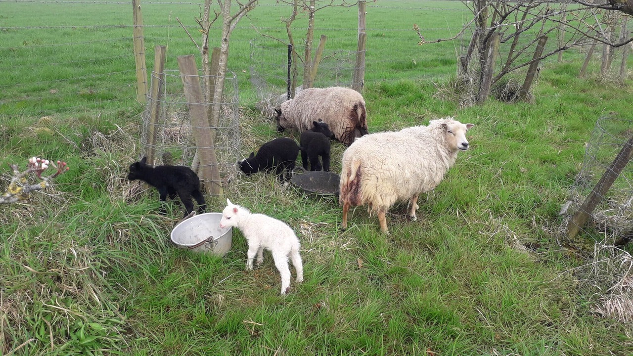 Photo of Outdoor in Honiton