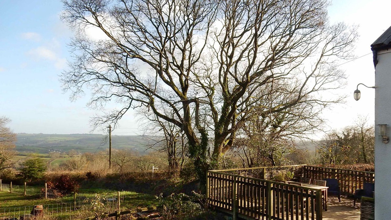 Photo of Others in Honiton