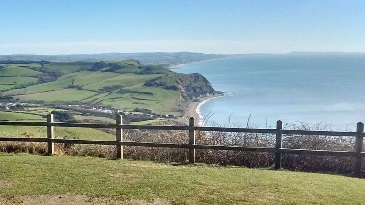 Photo of Others in Honiton