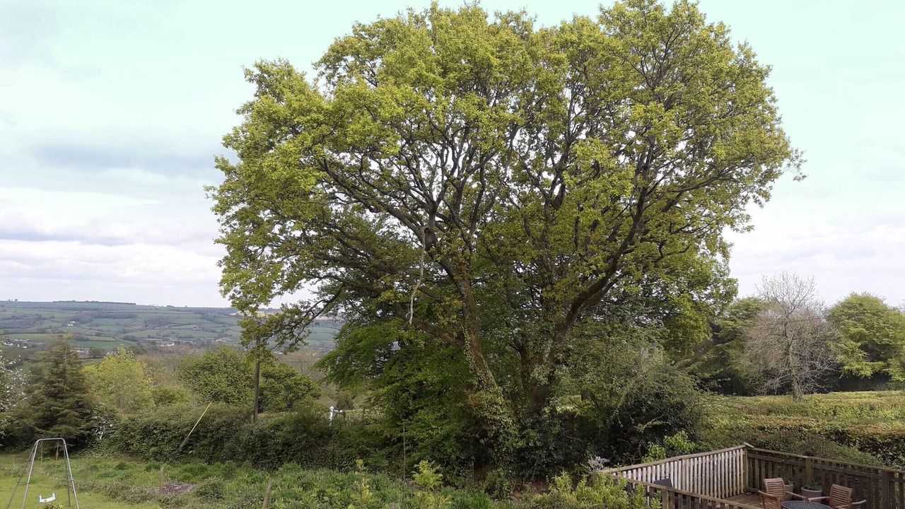 Photo of Outdoor in Honiton
