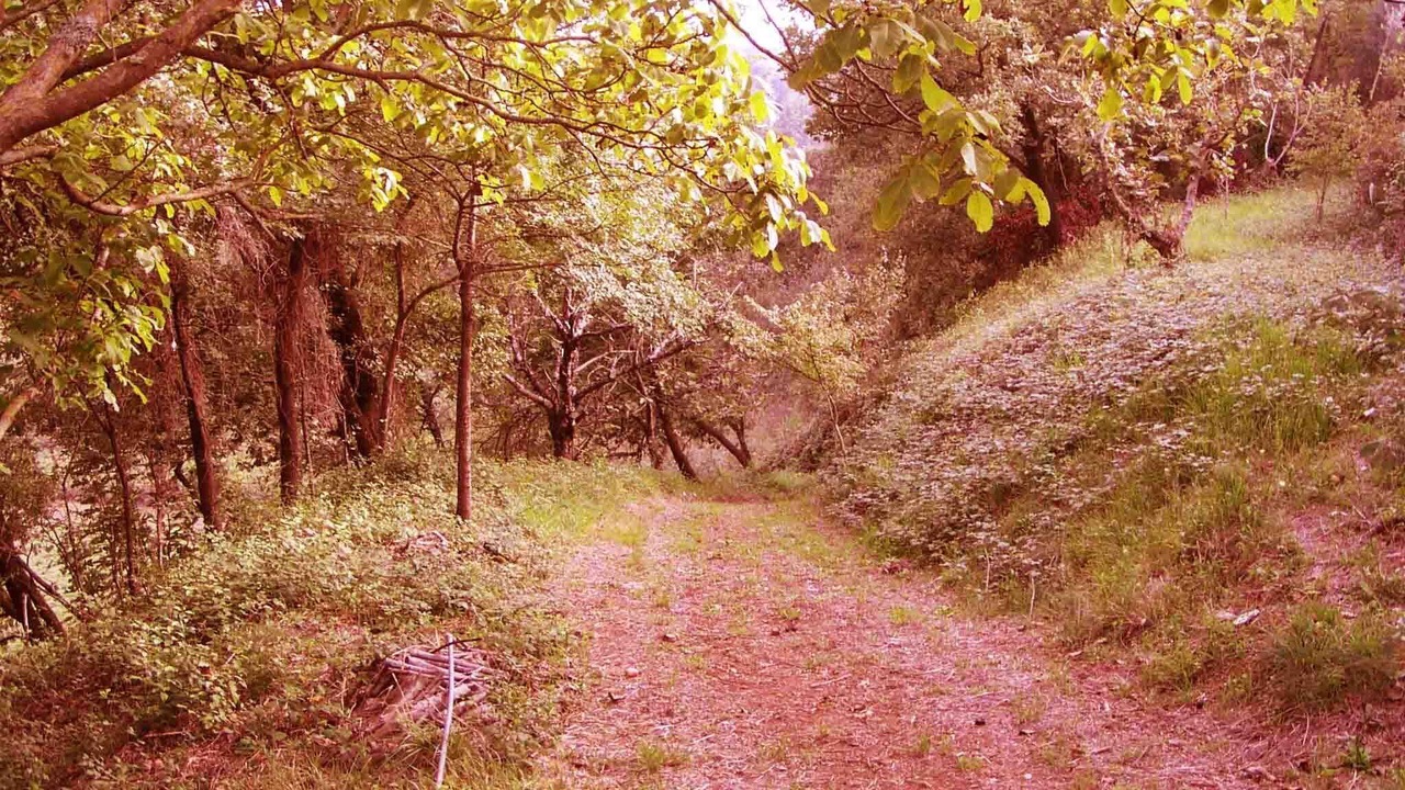 Photo of Outdoor in Cori