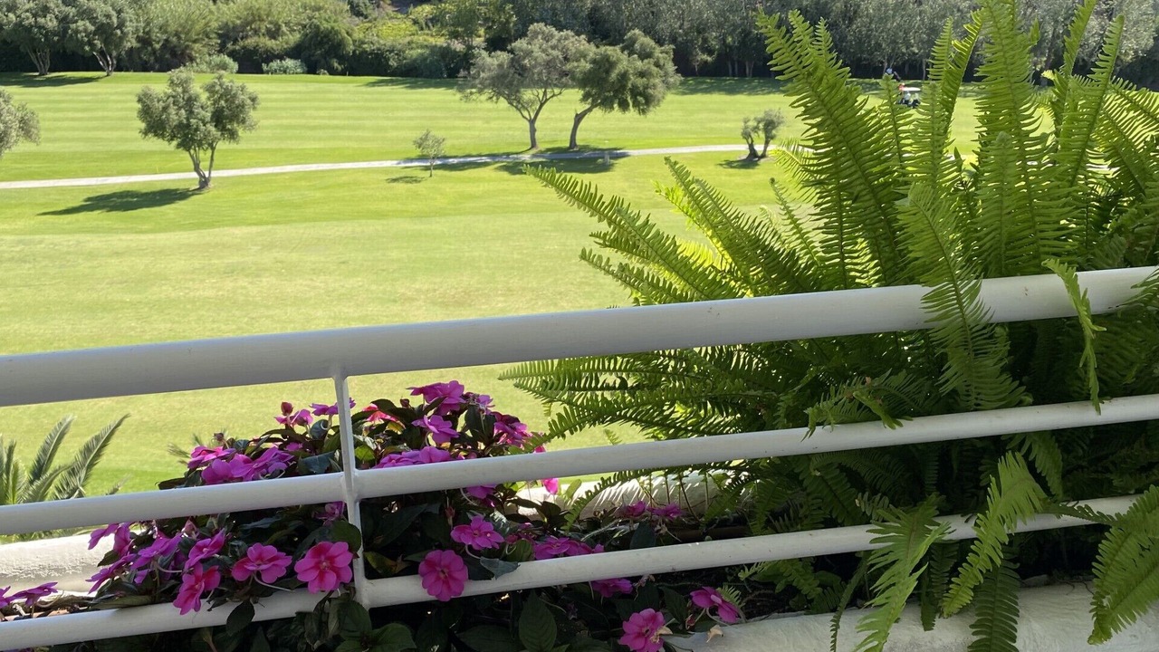 Photo of Outdoor in Guadalmina