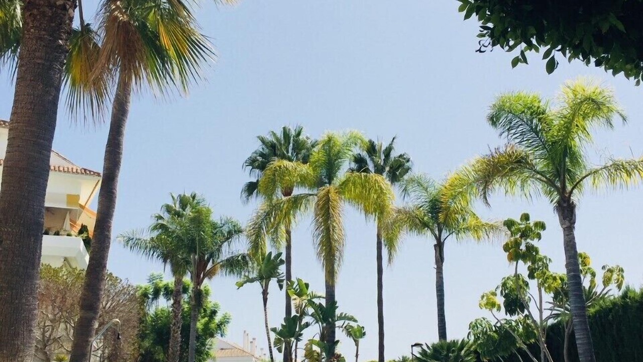 Photo of Outdoor in Guadalmina