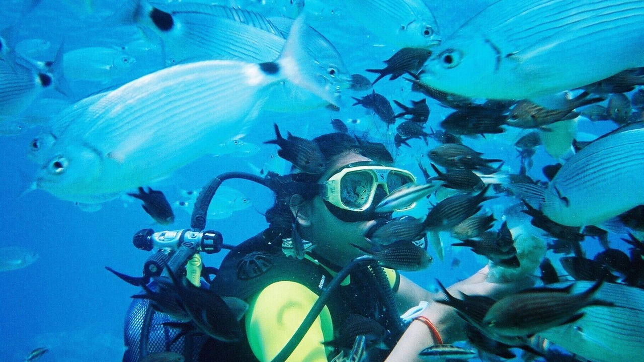 Photo of Others in Pernera