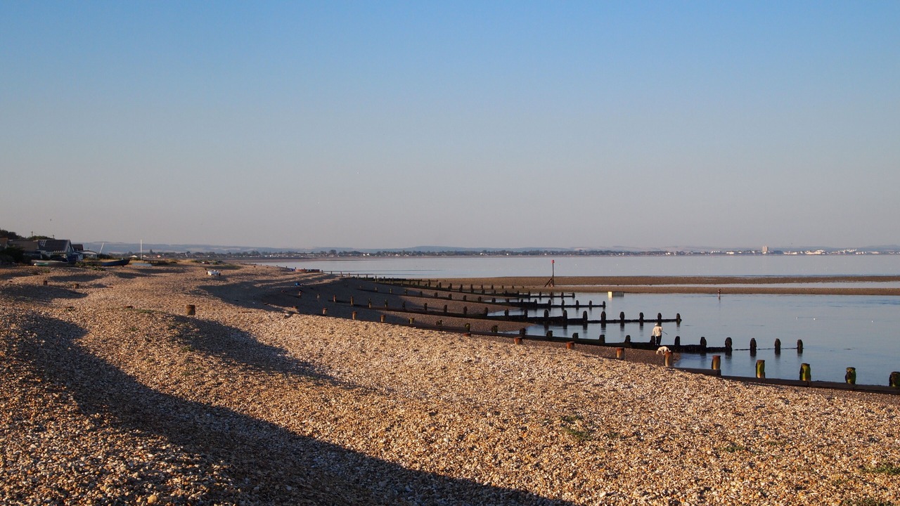 Photo of Others in Selsey
