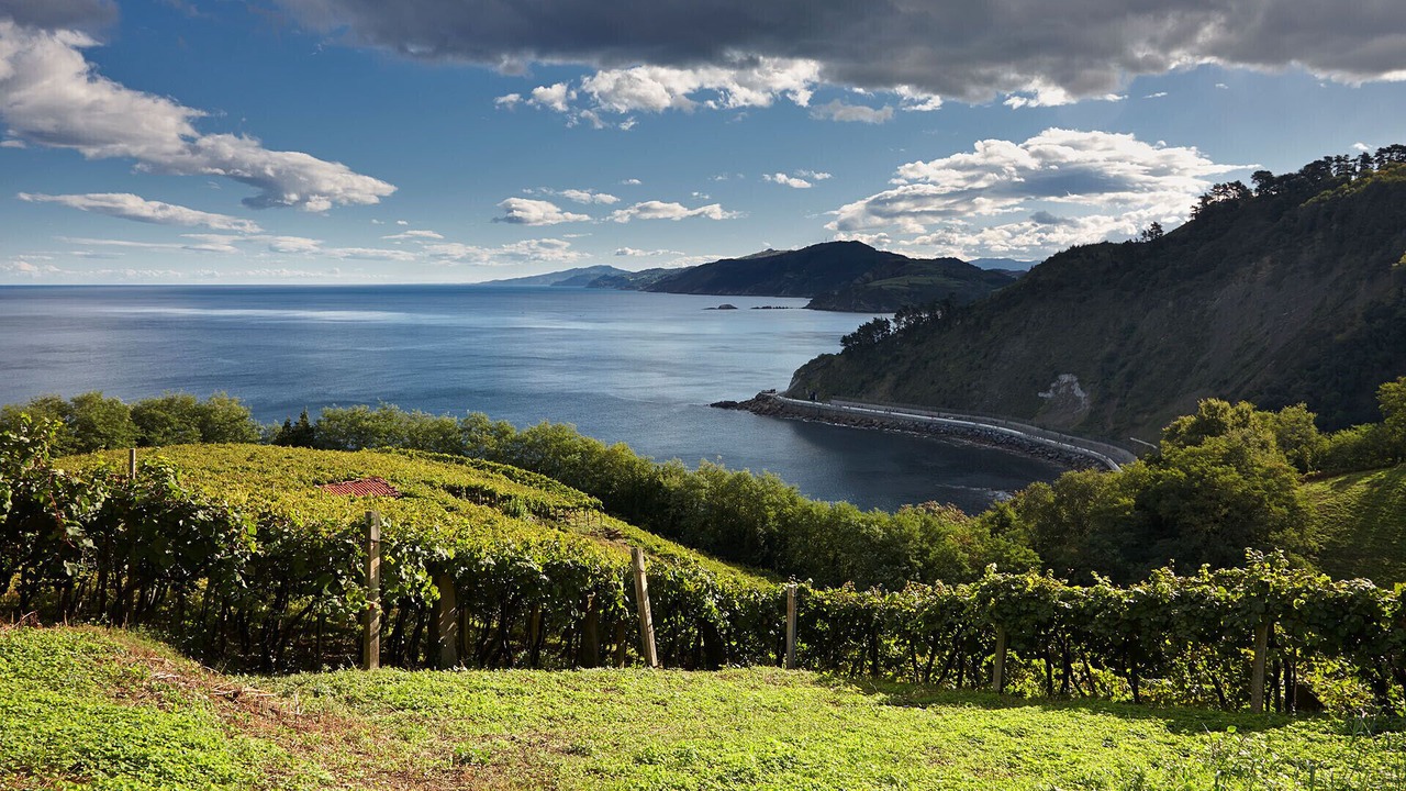 Photo of Others in Zarautz