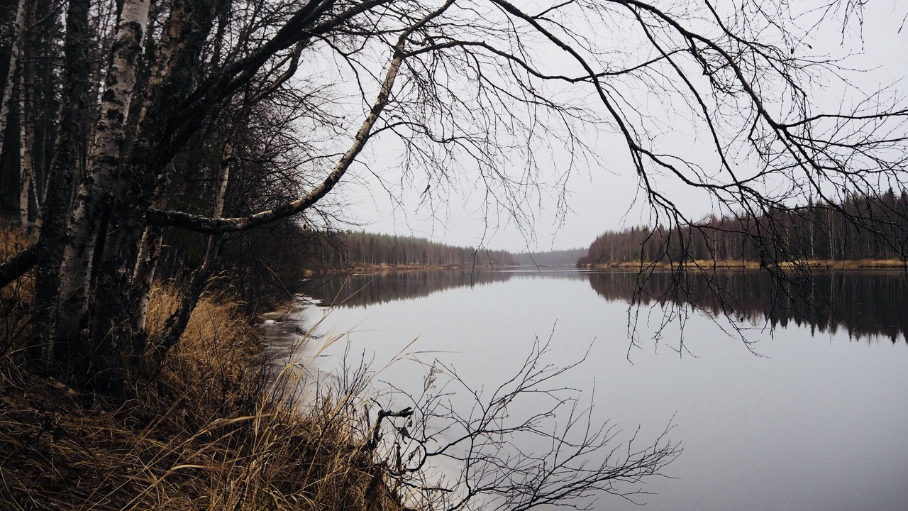 Photo of Others in Lampivaara