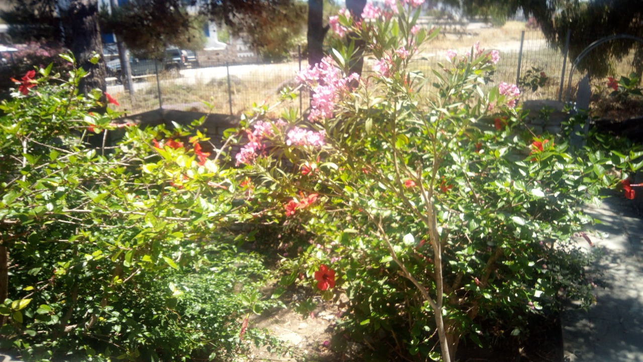 Photo of Outdoor in Agios Ioannis